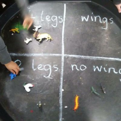 Sorting in reception class